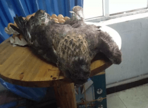 Screen Shot 2015-05-23 at 22.17.43