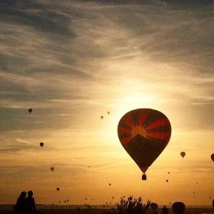 11822727_1015912378442427_4945190497450802715_n